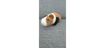 Peluche cochon d'inde