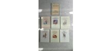 Lot de livre l'Ecole des Loisirs