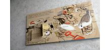 Livre enfant Minikidi