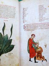 Medicina Antiqua