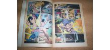 BD MARVEL LE PUNISHER NO 1 DE 1987 
