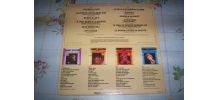 DISQUE 33 TOURS JOHNNY HALLYDAY 