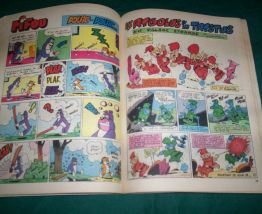 BD PIF NO 205 H-S de 1982 et 66 pages 
