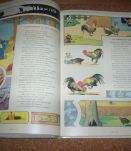 ALBUM FABLE LA FONTAINE ILLUSTRATIONS DE BENJAMIN RABIER 