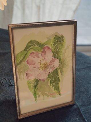 Aquarelle