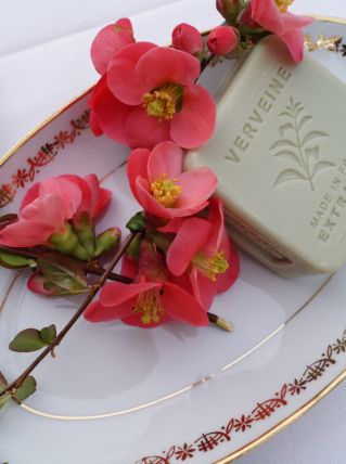 Coupelles en porcelaine