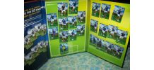COFFRET  PUB CARREFOUR FOOT BALL EQUIPE DE FRANCE MAGNETS