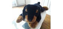 Peluche chien géant