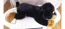 Peluche chien géant