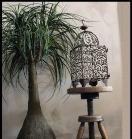 Cage à oiseaux XIXeme siècle