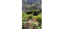 3 piques porte-bougie en fer forgé pour jardin