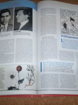 ALBUM cartonné 128 pages LE POINT sur tintin  