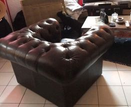 Vend fauteuil chesterfield d'origine 
