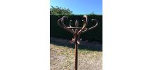 Porte manteau perroquet 