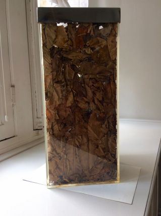 Porte-parapluie DIOR