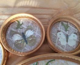 Ensemble plateau et sous verre 
