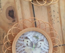 Set de 6 sous verres vintage