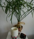 Magnifique thermos vintage