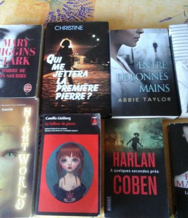 Romans et Livres Divers (Actualité, Thriller, etc ...)