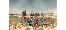 ALBUM 1864 RELIE  7 OUVRAGES