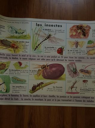 Affiche scolaire edition mdi 