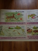Affiche scolaire edition mdi 