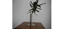 Ancien Porte-Pince chirurgical en inox