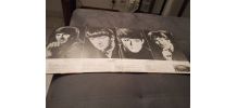 Vinyle the Beatles first