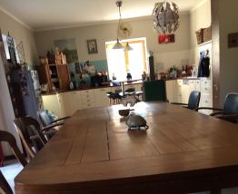 Table chêne XXL