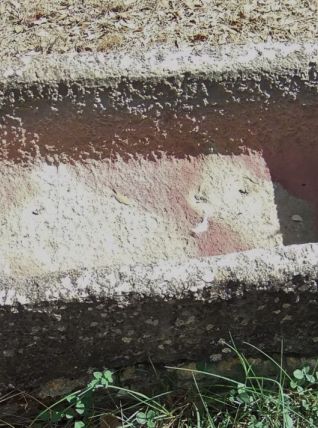 Très Ancien Sarcophage taillé Dans la Pierre