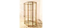 Vitrine en laiton 