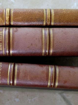 L'Aiglon, Cyrano De Bergerac, La Princesse Lointaine, Les Romanesques, Les Musardines, Le Bois Sacré 