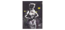 Livre d'art Pussycats, pour adultes