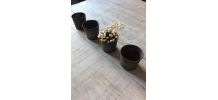 Lot de petits gobelets