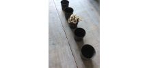 Lot de petits gobelets