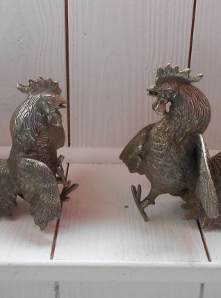 Couple de coq de combat.