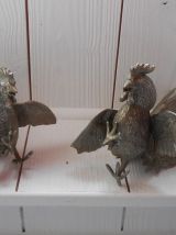 Couple de coq de combat.
