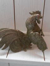 Couple de coq de combat.