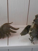 Couple de coq de combat.