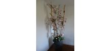 Composition florale · Tulipier - Fleurs et feuillages