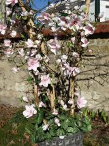 Composition florale · Tulipier - Fleurs et feuillages
