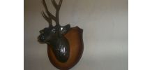 TETE DE CERF ANCIENNE EN METAL REGULE 