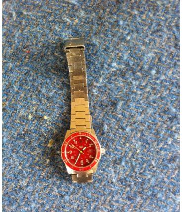Montre Femme Swiss Army