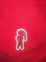 Polos Lacoste 