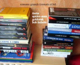 livres bd adultes enfants petits