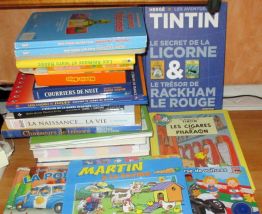 livres bd adultes enfants petits