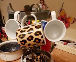 Lot tasses