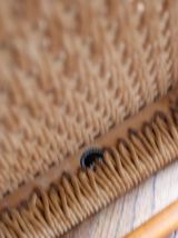 Série de quatre chaises scandinaves, O Moller