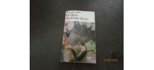 le dieu des petits riens