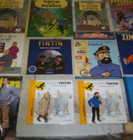 gros lot de BD TINTIN 